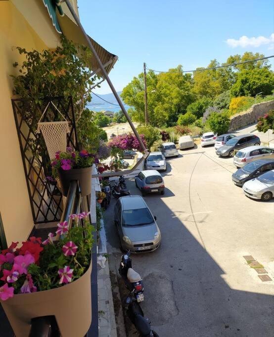 Xenofon'S Cozy Apartment Corfu  Εξωτερικό φωτογραφία