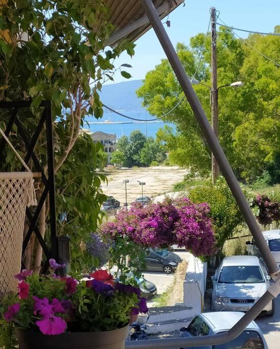 Xenofon'S Cozy Apartment Corfu  Εξωτερικό φωτογραφία
